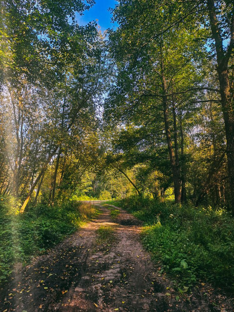 Дорога в уходящее лето