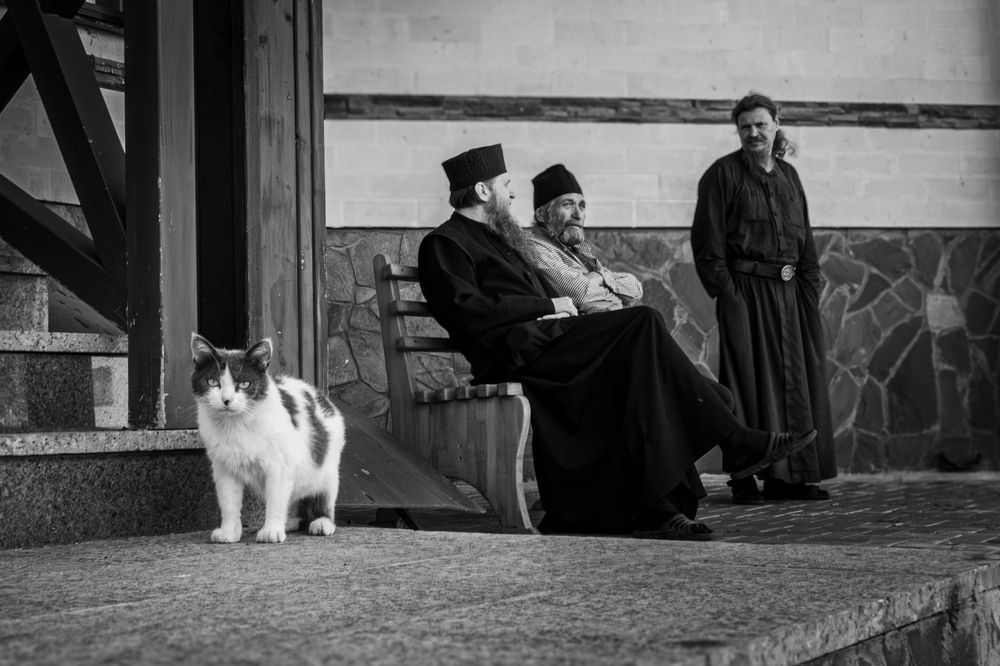 Photograph by Владимир Иванов