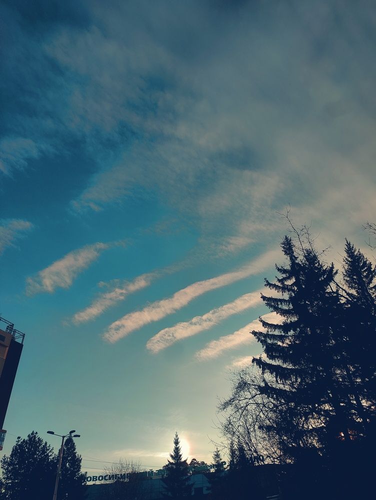 Photograph by Olena Chertous