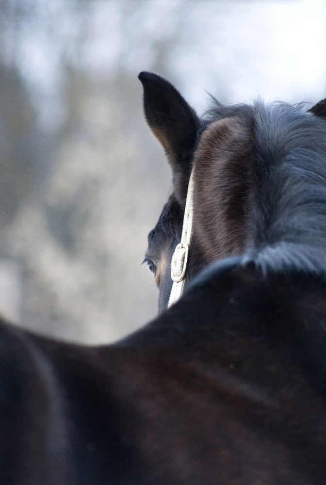 Фотография автора Маргарита