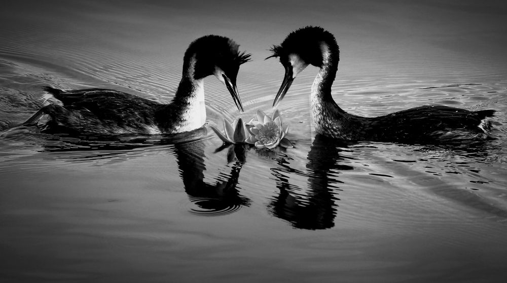 Photograph by Зоя Быкова