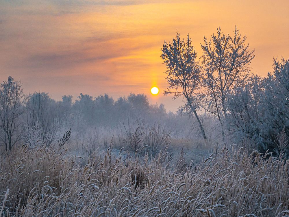 Photograph by Василий Губский