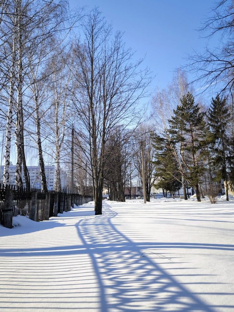 Photograph by Ирина Ященко