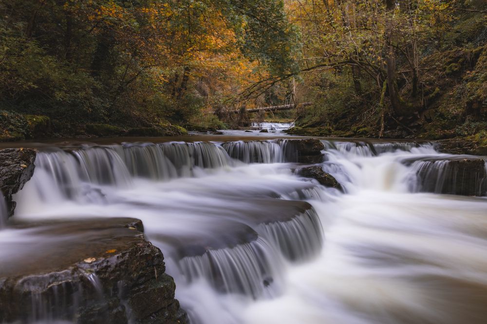 Photograph by Ed Simon