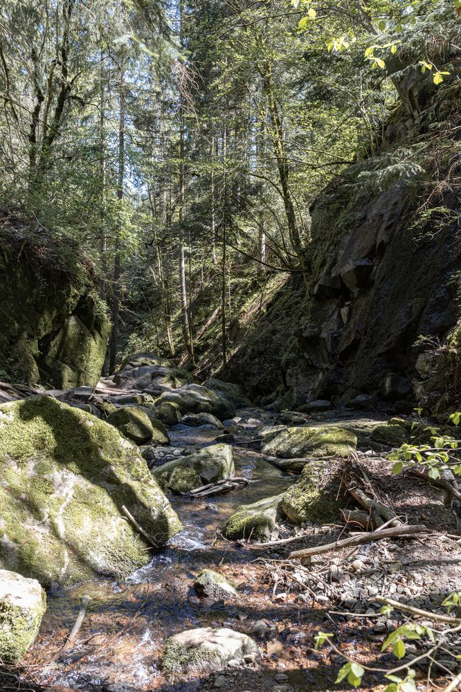 Photograph by Ed Simon