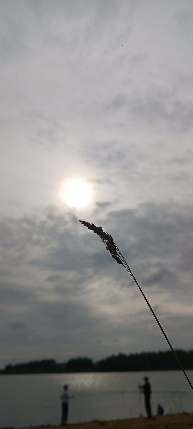 Photo #11823132