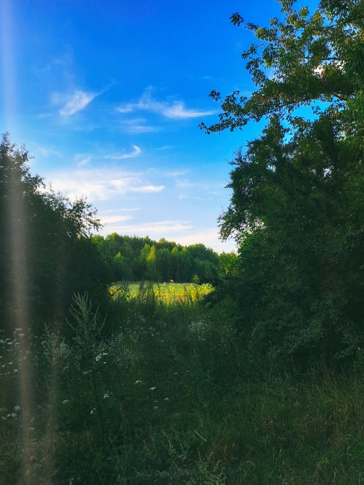 Фотография автора Анна Попова