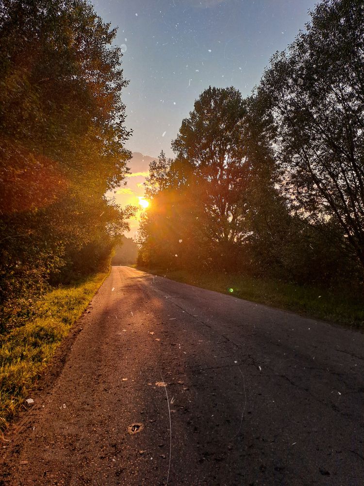 Фотография автора Анна Попова