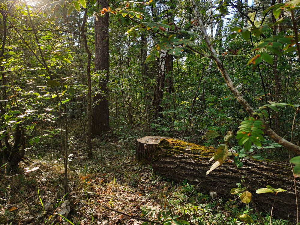 Фотография автора Анна Попова