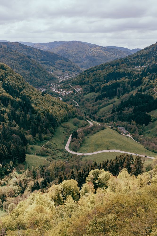 Photograph by Ed Simon