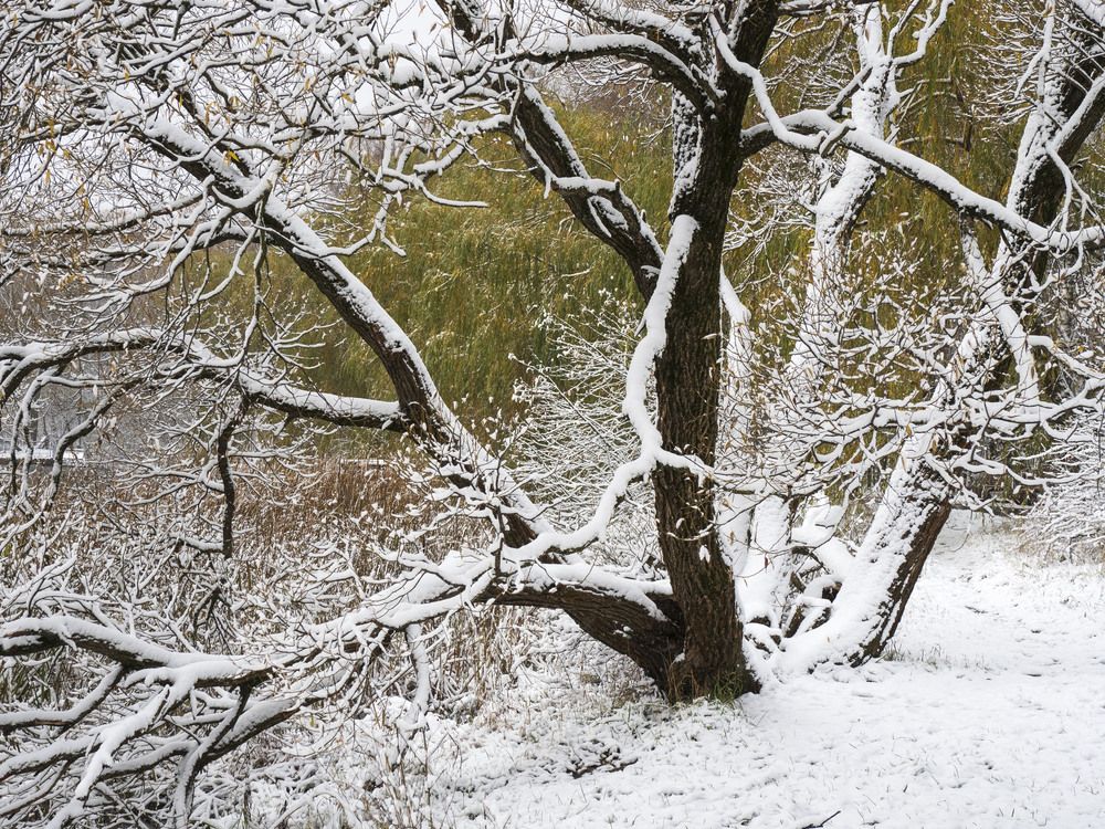 Photograph by Борис Полтавец