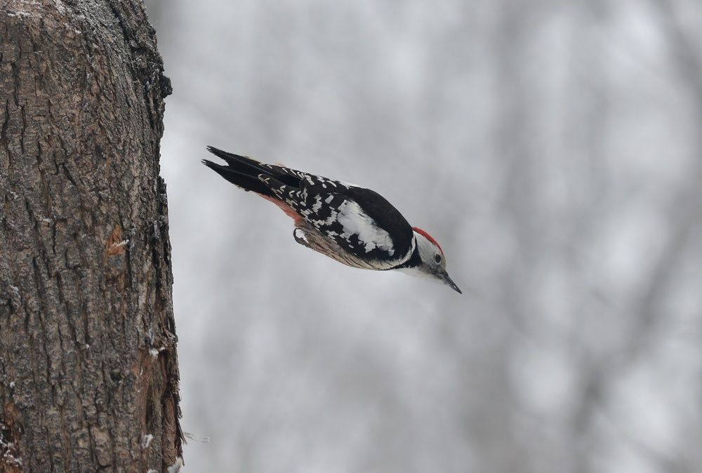 Photograph by Алексей Volg