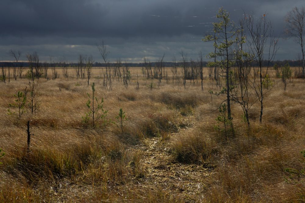 Photograph by Светлана Воробьёва
