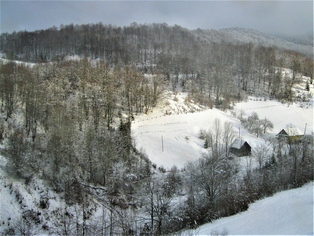 Photograph by Галина