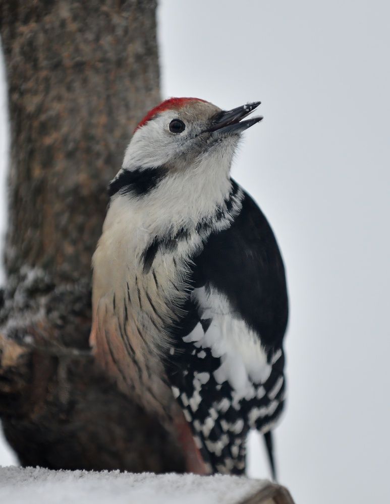 Photograph by Алексей Volg