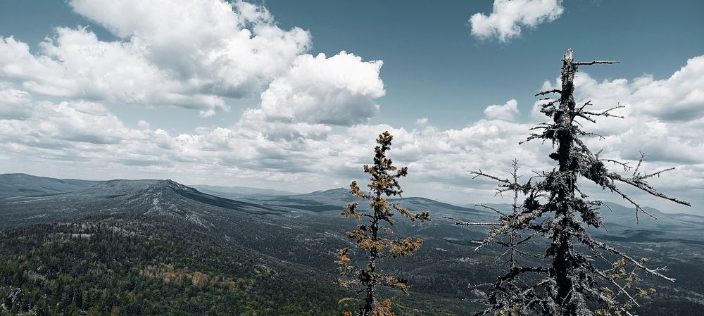 Photograph by Александр Степанов