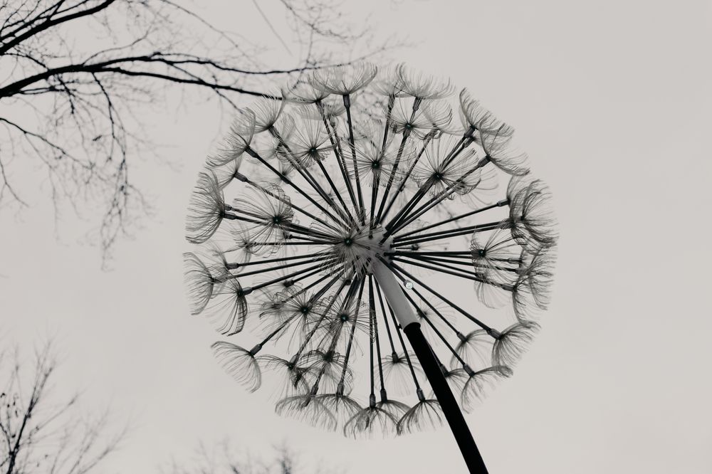 Photograph by Елена Буканина