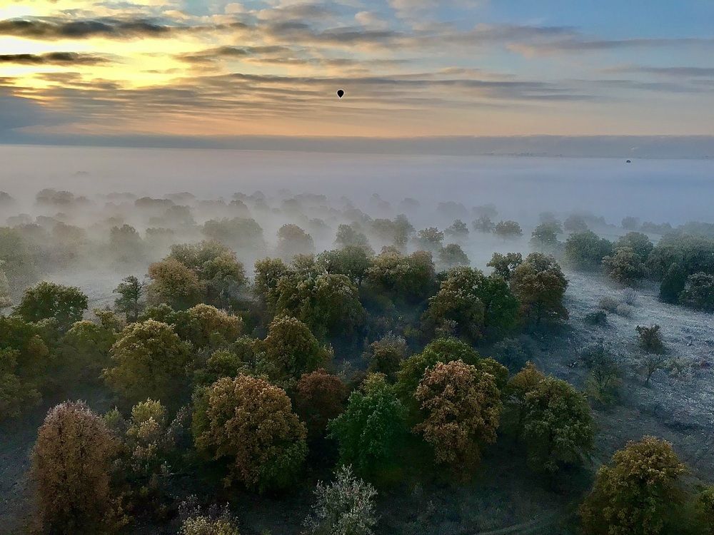 Photograph by Шестакова Наталья