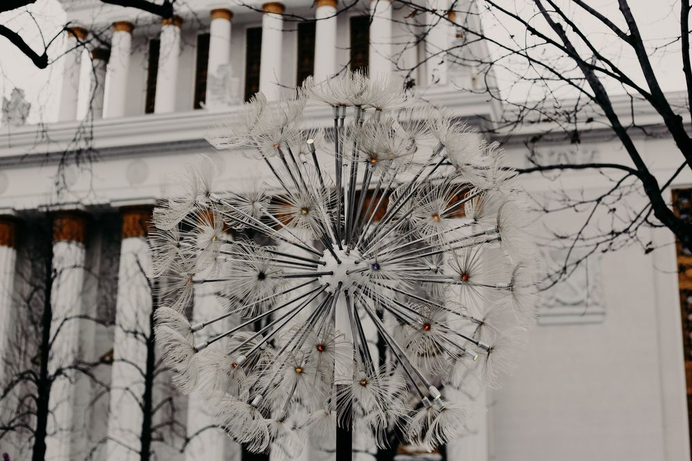 Photograph by Елена Буканина