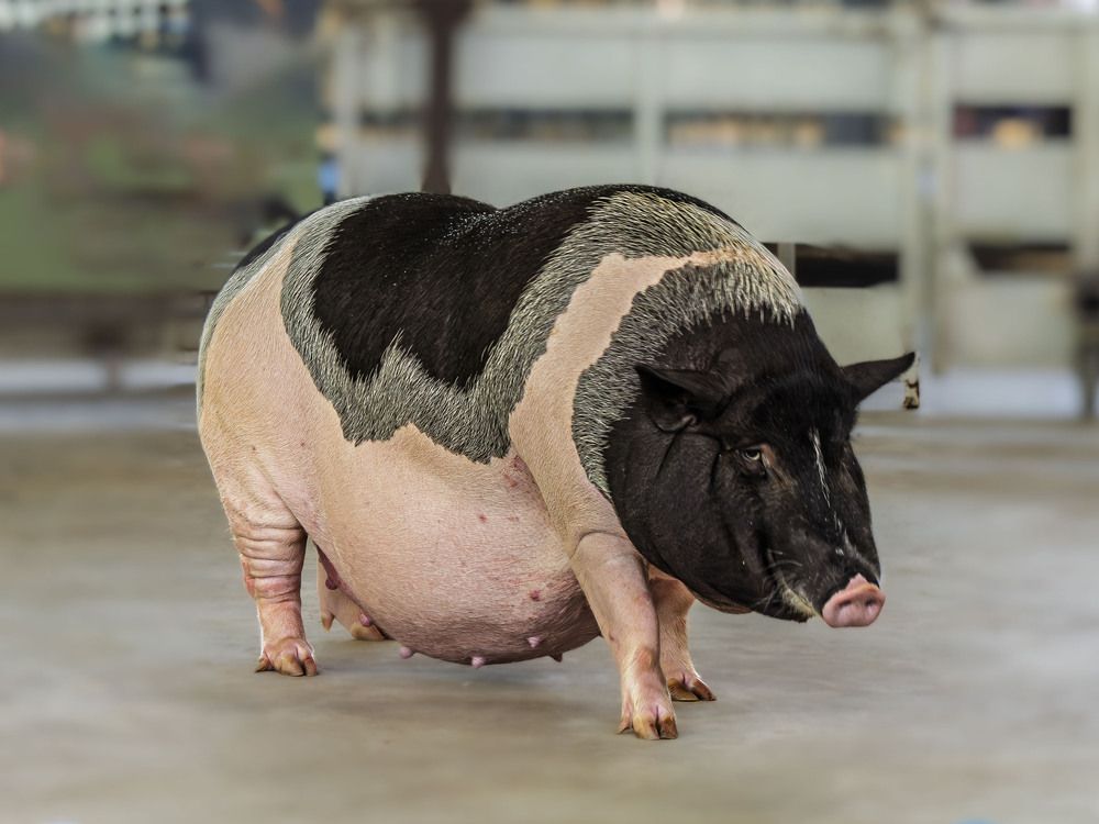 Photograph by Борис Полтавец