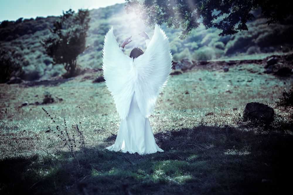 Photograph by Ramin saberi