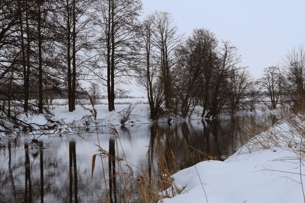 Photograph by Николай Круглов