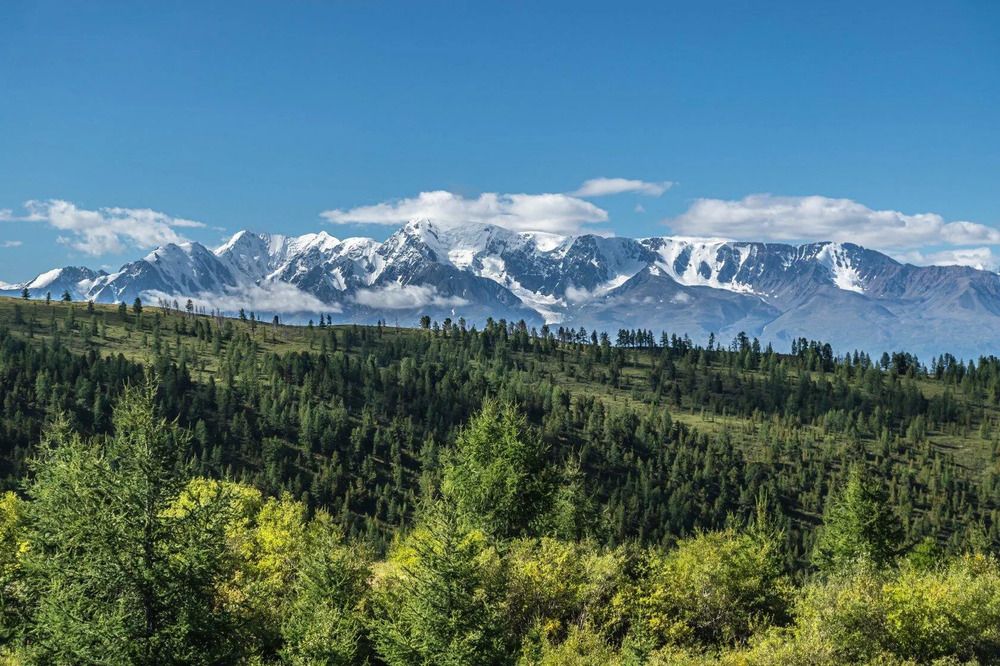 Photograph by Юрий Десятов