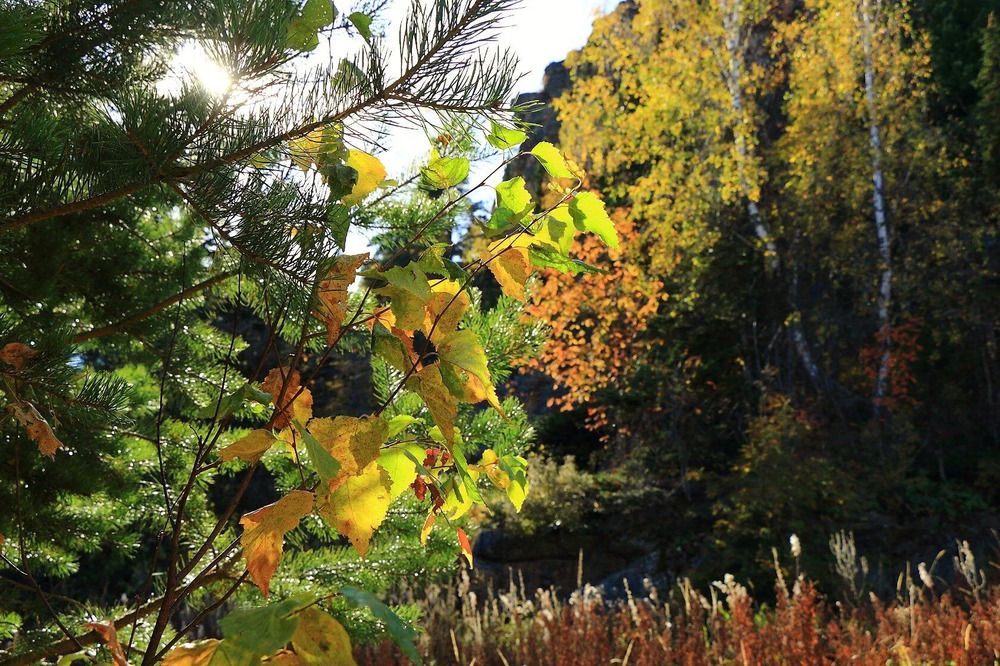 Photograph by Юрий Десятов