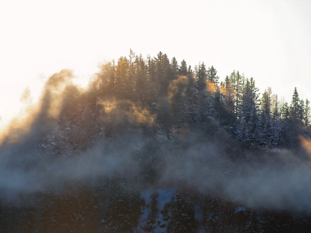 Photograph by Yulia Niki