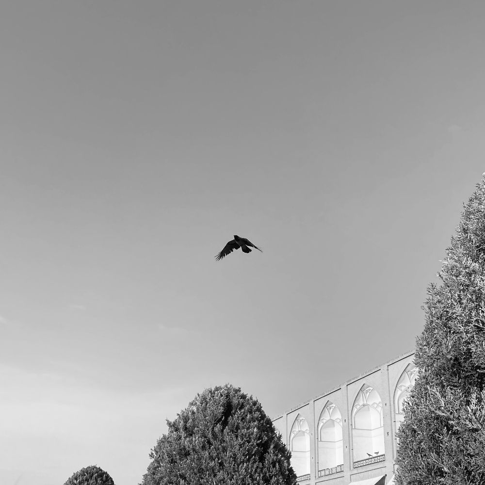 Photograph by Ali Ghaedi