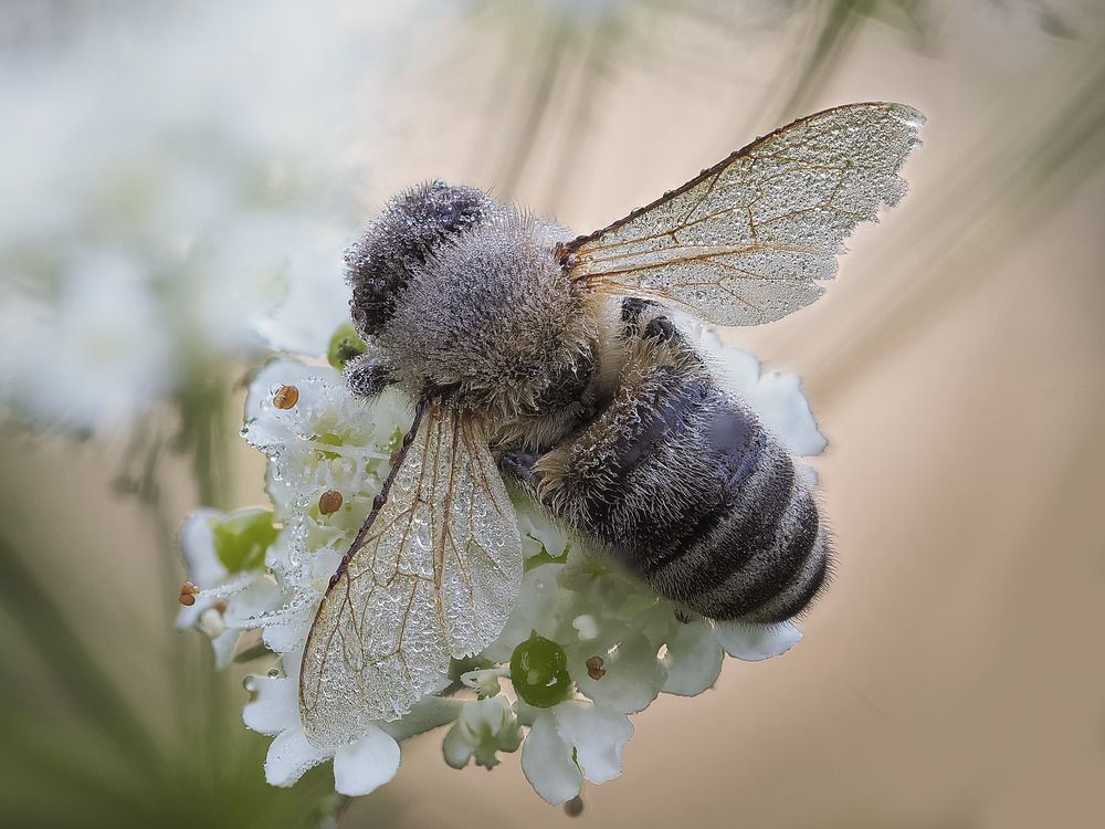 Photograph by Лукашук Евгений