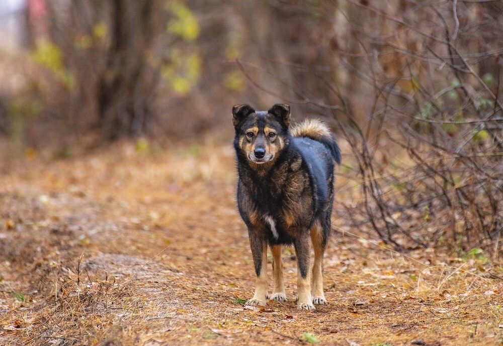 Photograph by Сиваков Алексей
