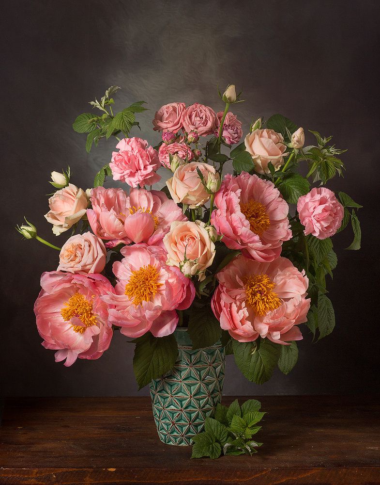 Фотография автора Алина Ланкина