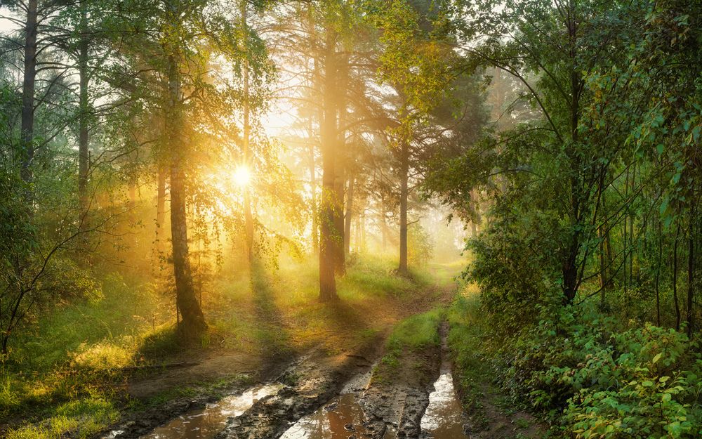 Photograph by Медянцев Дмитрий