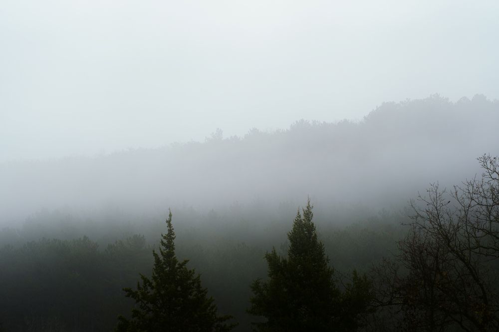 Photograph by Григорий Консевич