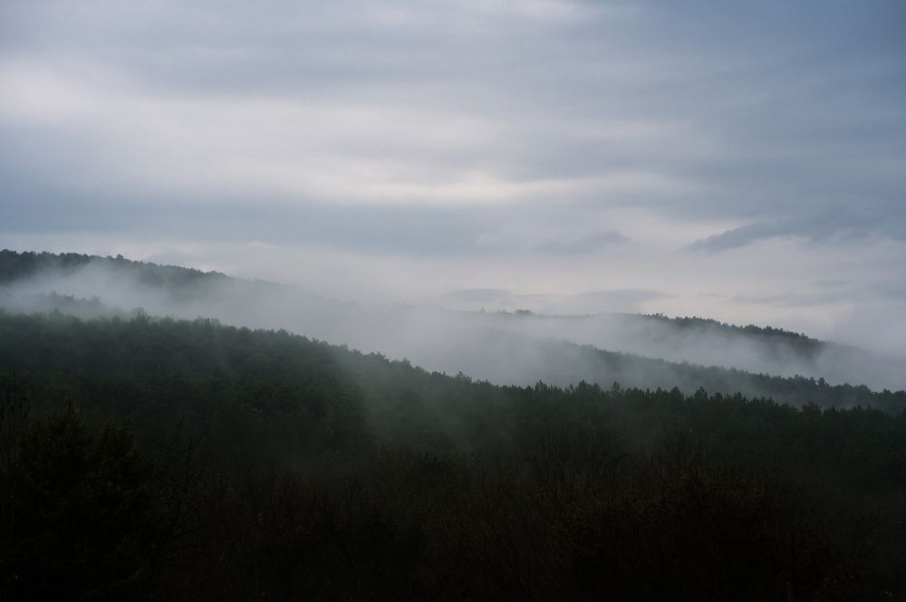 Photograph by Григорий Консевич