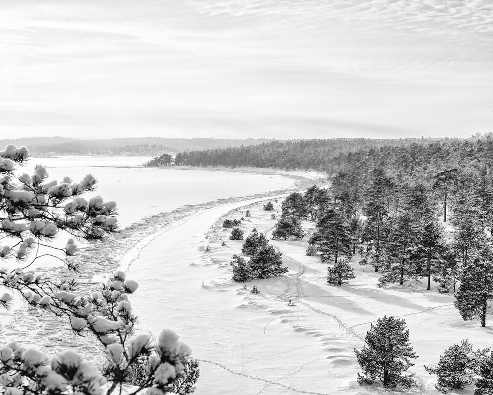 Photograph by Yulia Niki