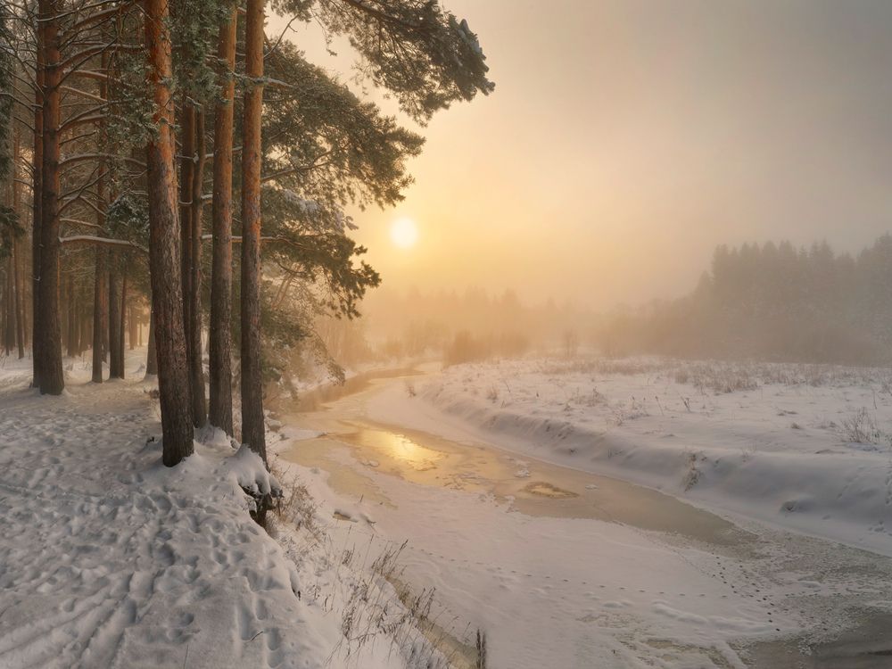 Photograph by Медянцев Дмитрий