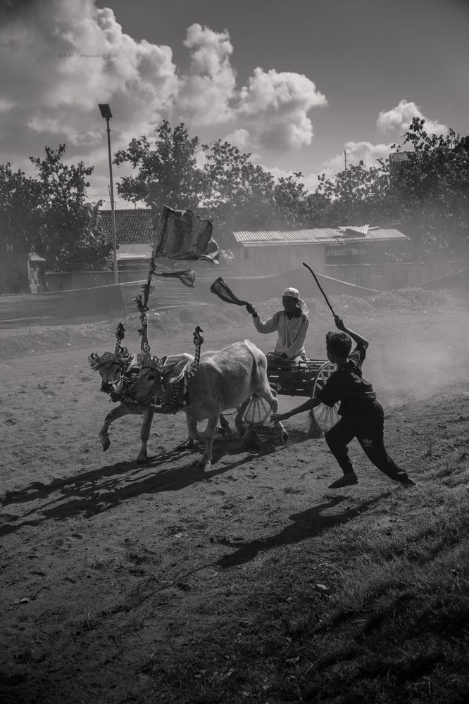 Photograph by Nic Watson