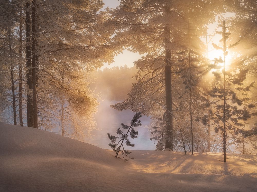 Photograph by Медянцев Дмитрий