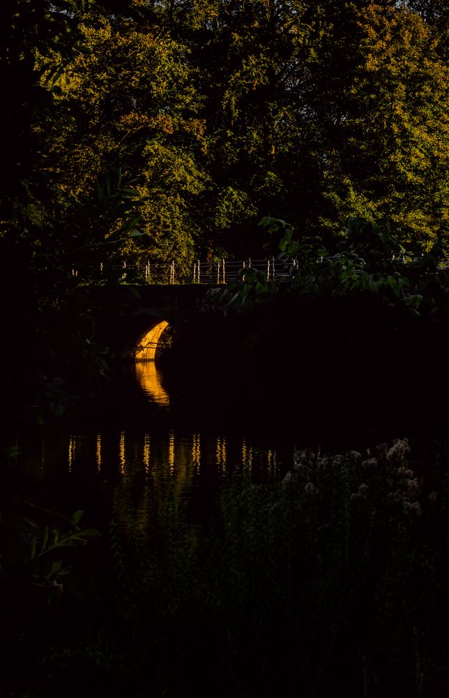 Photograph by Abdullah Ahmad