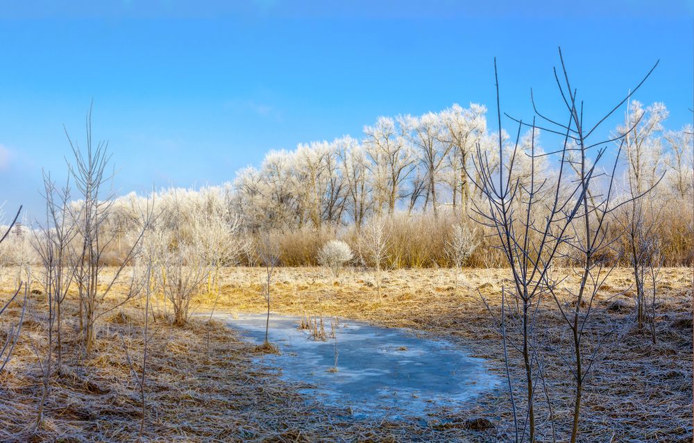 Photograph by Виталий Хромычев
