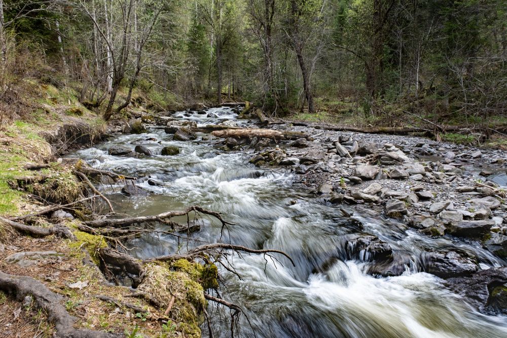 Photograph by Вадим Провоторхов