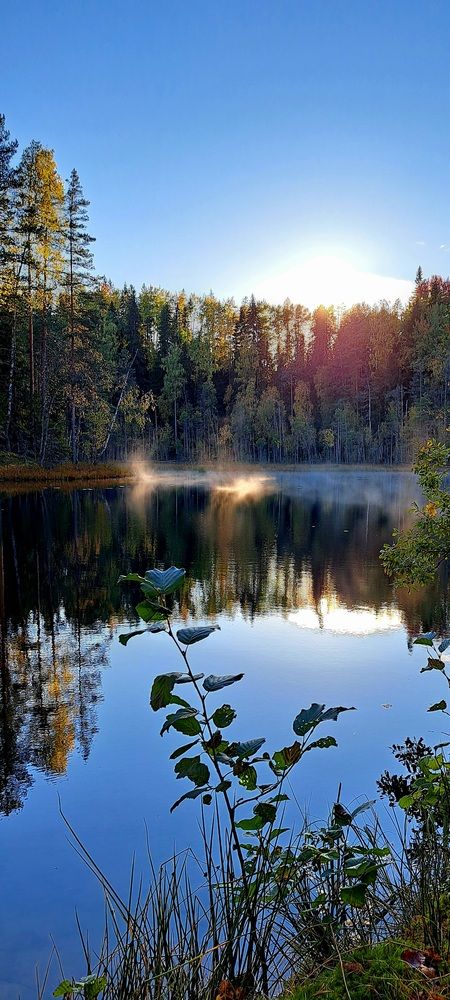 Photograph by Галина Перепечаева