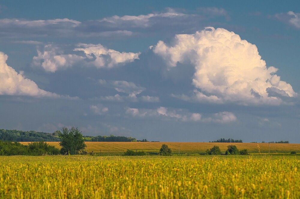 Photograph by Сиваков Алексей