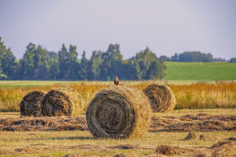 Photograph by Сиваков Алексей