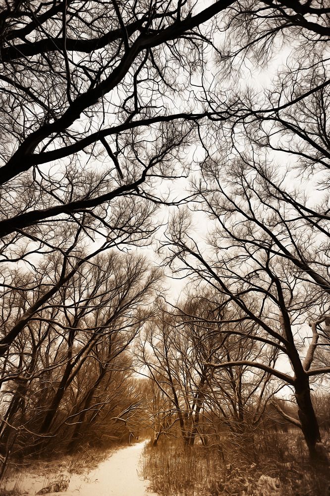 Photograph by Сергей Захаров