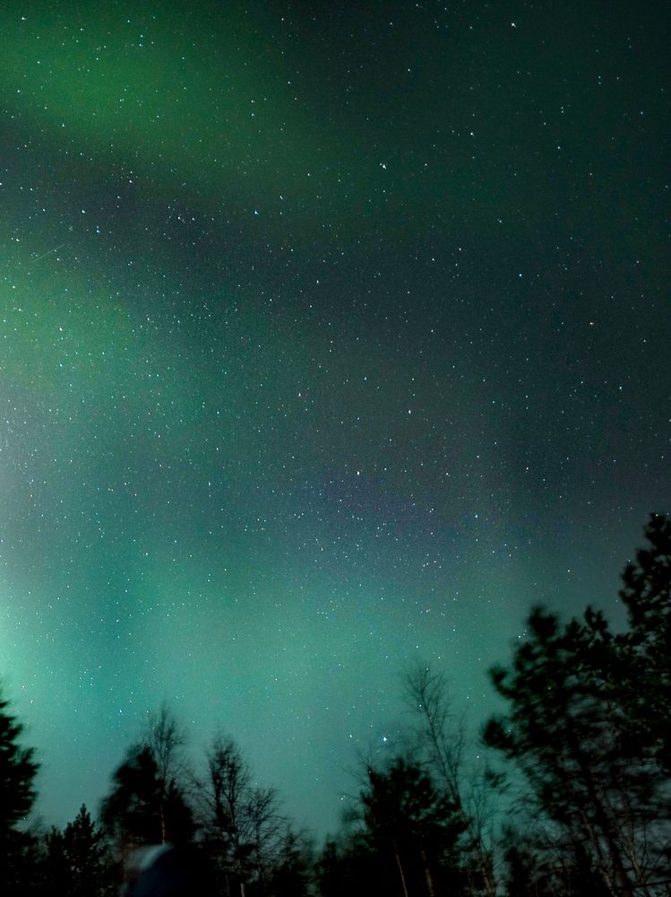 Photograph by OLGA MIKHNEVICH