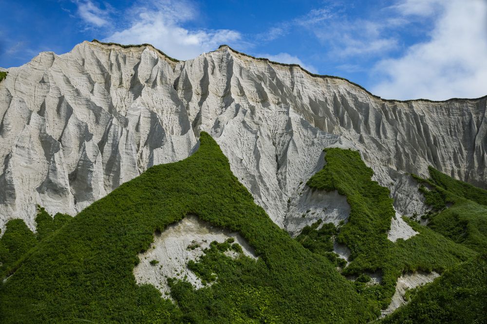 Фотография автора Анна Олещук