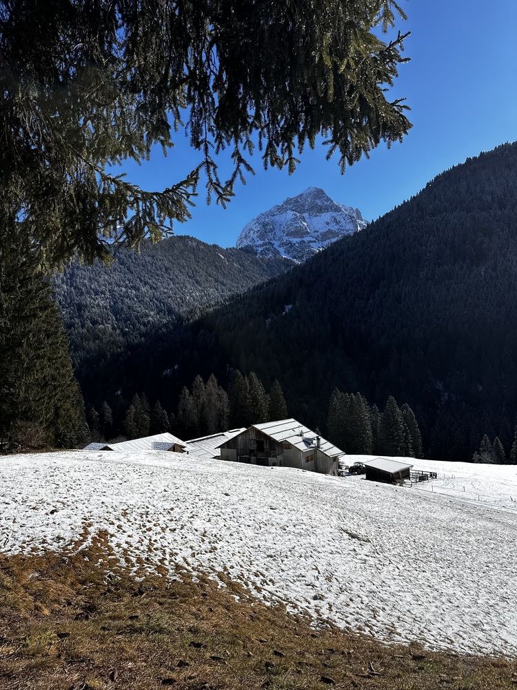 Photograph by Елена Брижеватая